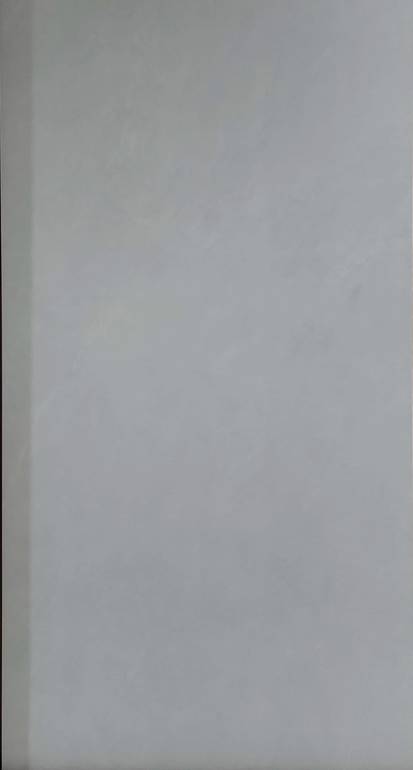 Porcelain Tiles R1202