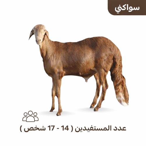 سواكني