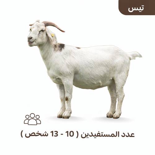 تيس