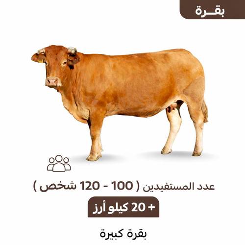 بقرة كبيرة