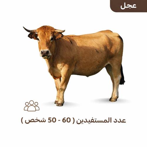 عجل