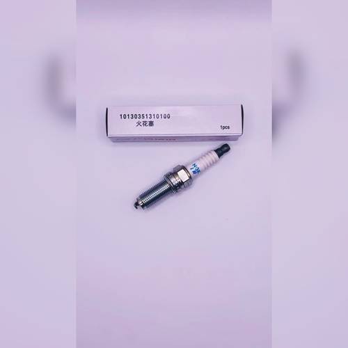     SPARK PLUG(4 PIECE SITE)
