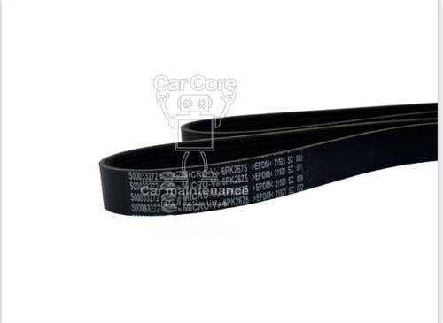 BELT-ACSRY