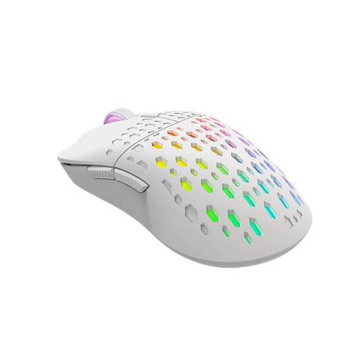 Gaming mouse