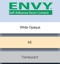 ENVY® Resin Cement