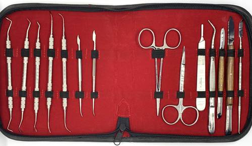 Professional Wax Up Set