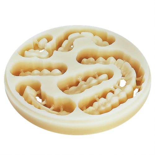 PMMA CAD / CAM DISC Multilayer