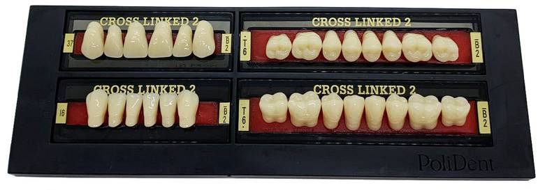 Cross Linked 2 acrylic teeth