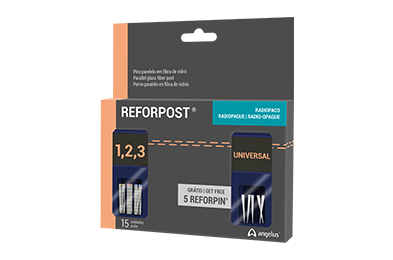 Reforpost Glass Fiber Kit