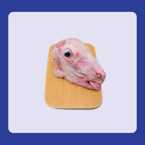 راس غنم بلدي 