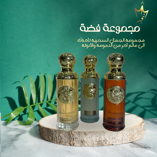 مجموعة فضة 100 ملي