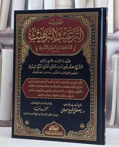 تهذيب الترغيب والترهيب للحافظ عبد الغني المنذري/ تأليف محمد يحيى امان الكتبي الحنفي/ تحقيق مصطفى شيخ مصطفى / محمد جبا