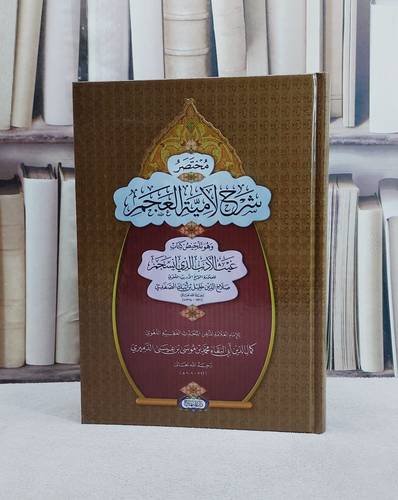 مختصر شرح لامية العجم وهو تلخيص غيث الادب الذي انسجم للصفدي/ تأليف كمال الدين ابي البقاء محمد موسى عيسى الدميري