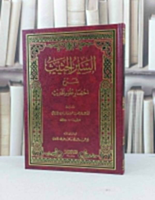 السير الحثيث شرح اختصار علوم الحديث / مقبل هادي الوادعي / تحقيق - عبد الله الحمادي