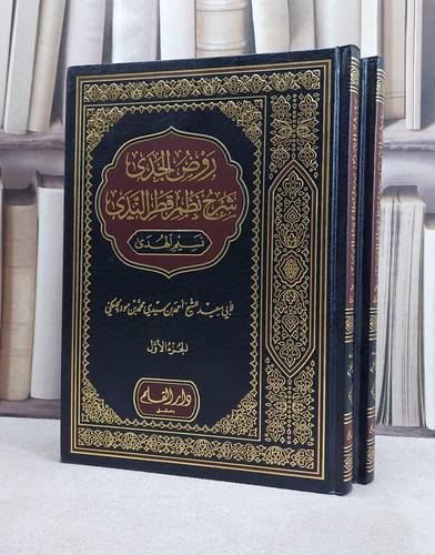 روض الجدى شرح نظم قطر الندى 1/2 / احمد محمد الجكني