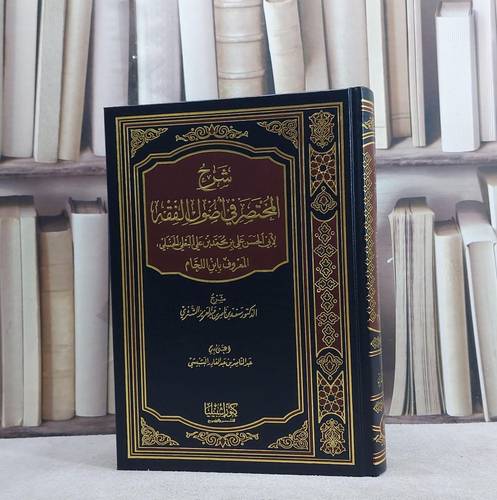 شرح المختصر في اصول الفقه 