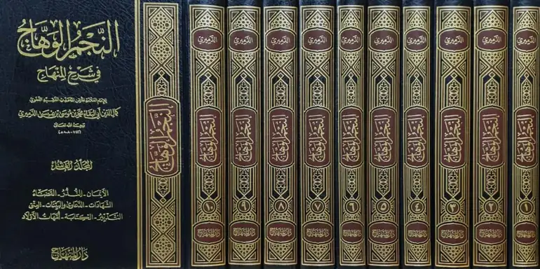 النجم الوهاج في شرح المنهاج 1/10 / تأليف كمال الدين الدميري