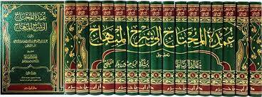 عمدة المحتاج الى شرح المنهاج 16/1 / ابن الملقن / تحقيق:خالد الرباط
