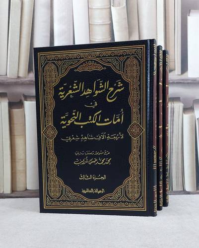 شرح الشواهد النحوية الشعرية في امات الكتب النحوية 3/1 / محمد محمد حسن شراب