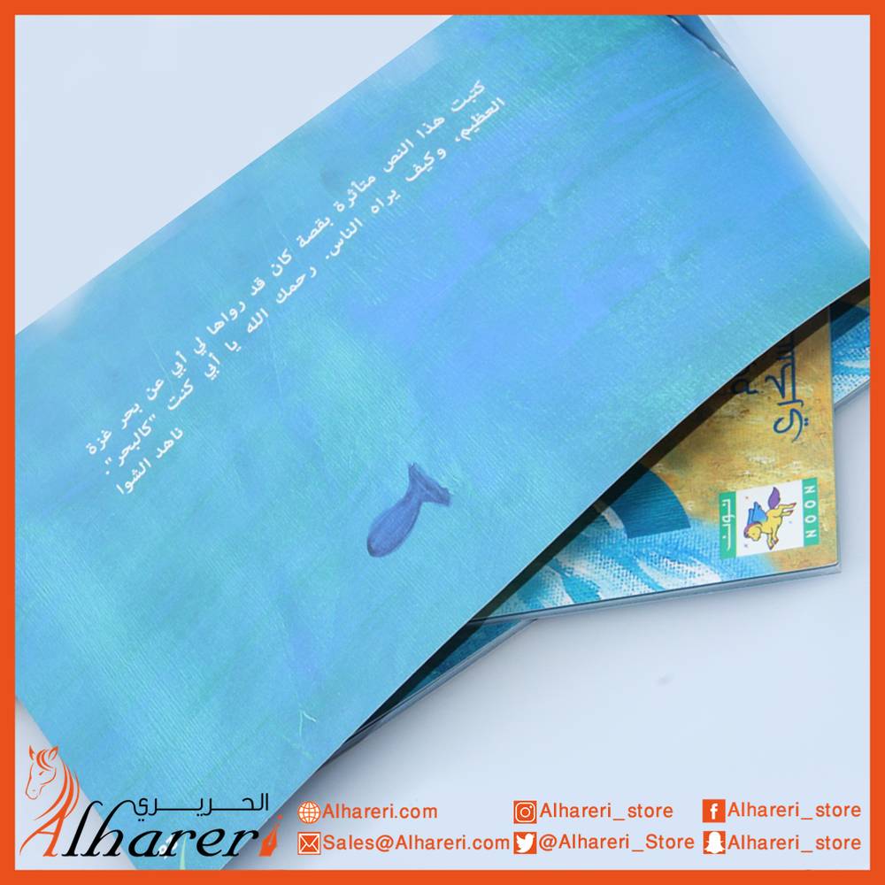 story - like the sea - a series of feelings - Noon books