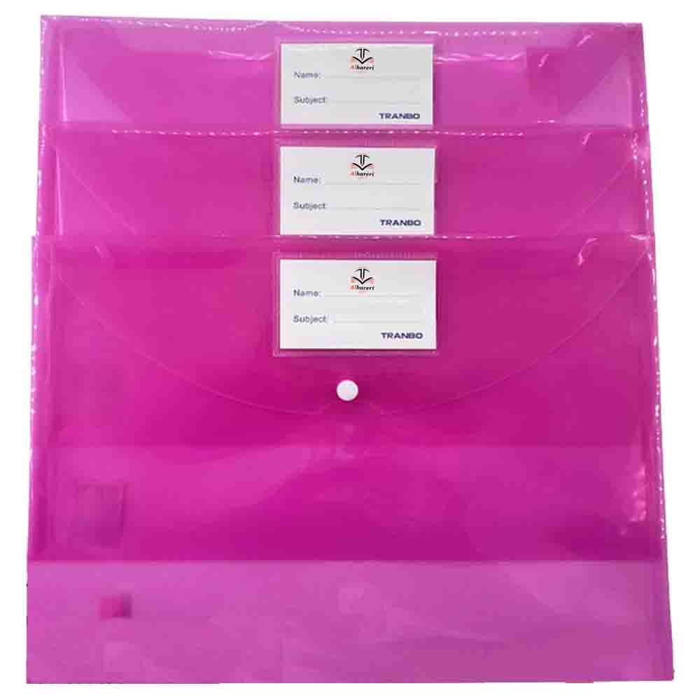 Pink Transparent Plastic Snap Envelope File | FC Size
