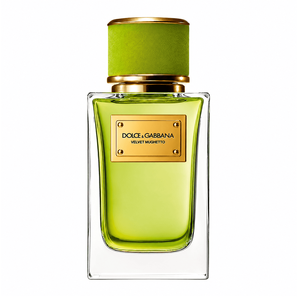 عطر دولتشي اند غابانا فيلفيت موغيتو او دي بارفان 50 مل  