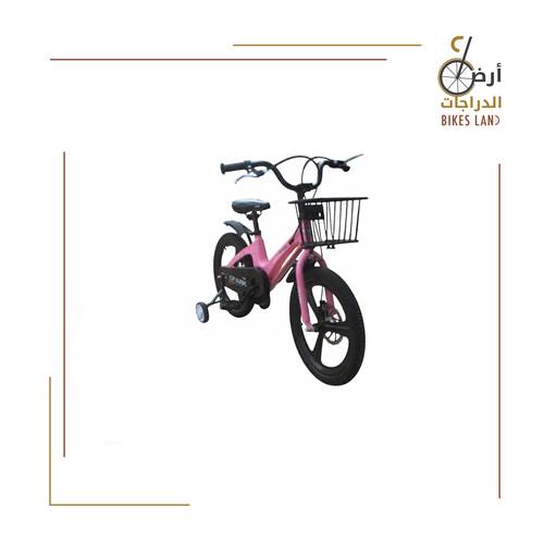  Kids Bicycle – SPARK – 16