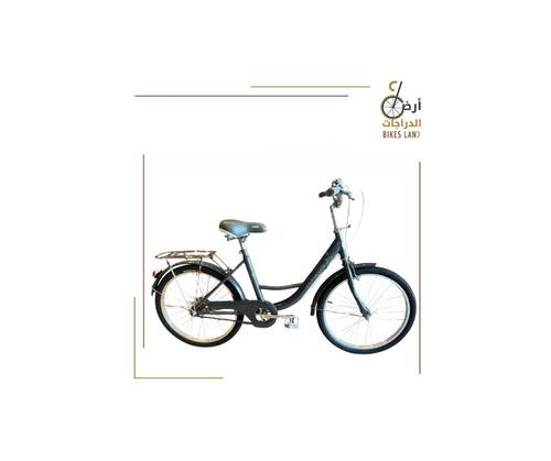  Female Bicycle -  22