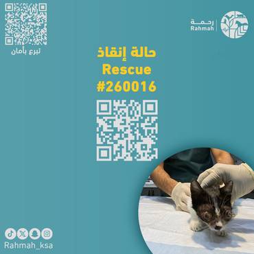 حالة إنقاذ 260016