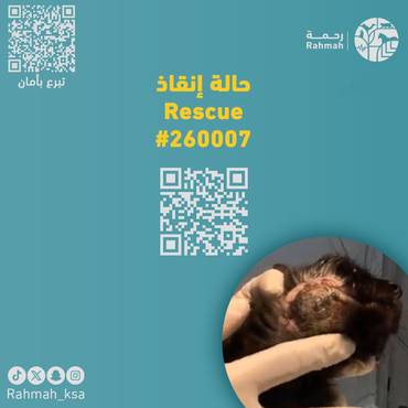 حالة إنقاذ 260007