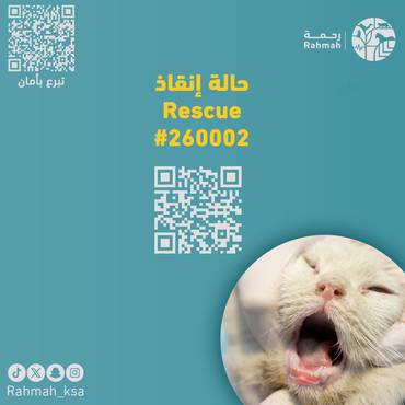 حالة إنقاذ 260002