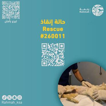 حالة إنقاذ 260011