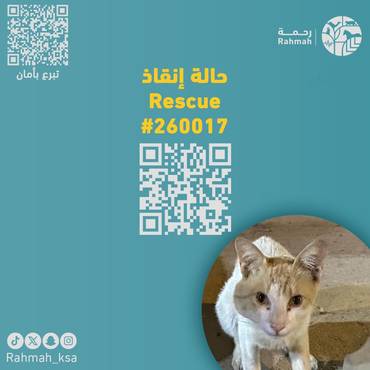 حالة إنقاذ 260017