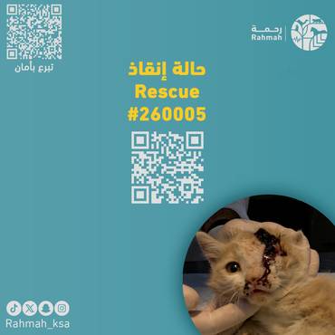 حالة إنقاذ 260005