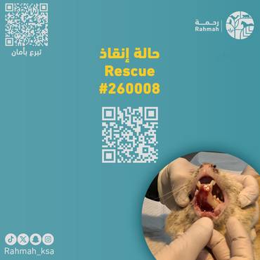 حالة إنقاذ 260008