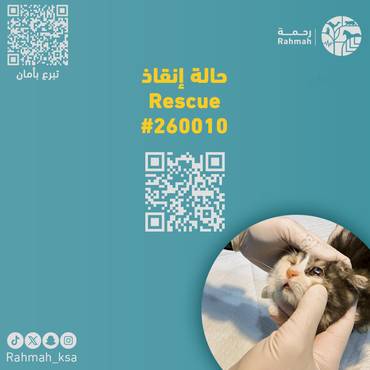 حالة إنقاذ 260010