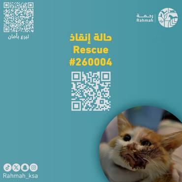 حالة إنقاذ 260004