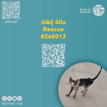 حالة إنقاذ 260012