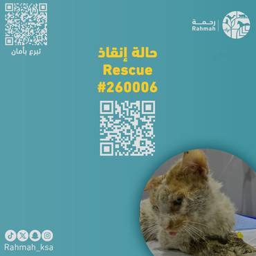 حالة إنقاذ 260006