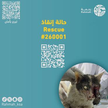 حالة إنقاذ 260001