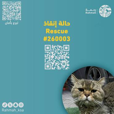 حالة إنقاذ 260003