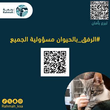 #الرفق_بالحيوان مسؤولية الجميع