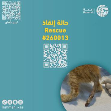 حالة إنقاذ 260013