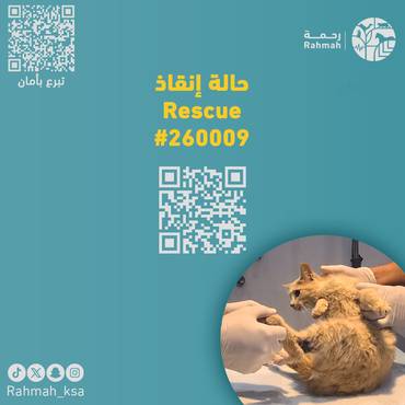 حالة إنقاذ 260009