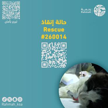 حالة إنقاذ 260014