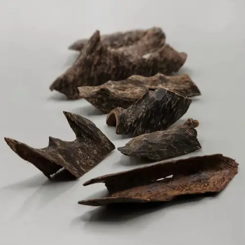 زوايا تراد فاخرة