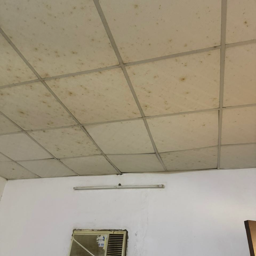 بيت الطمانينة