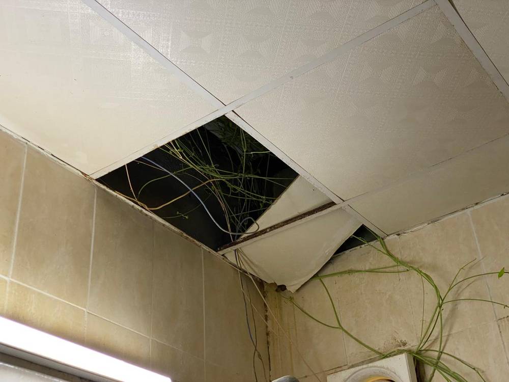 منزل شريك الخير | كلية جدة العالمية