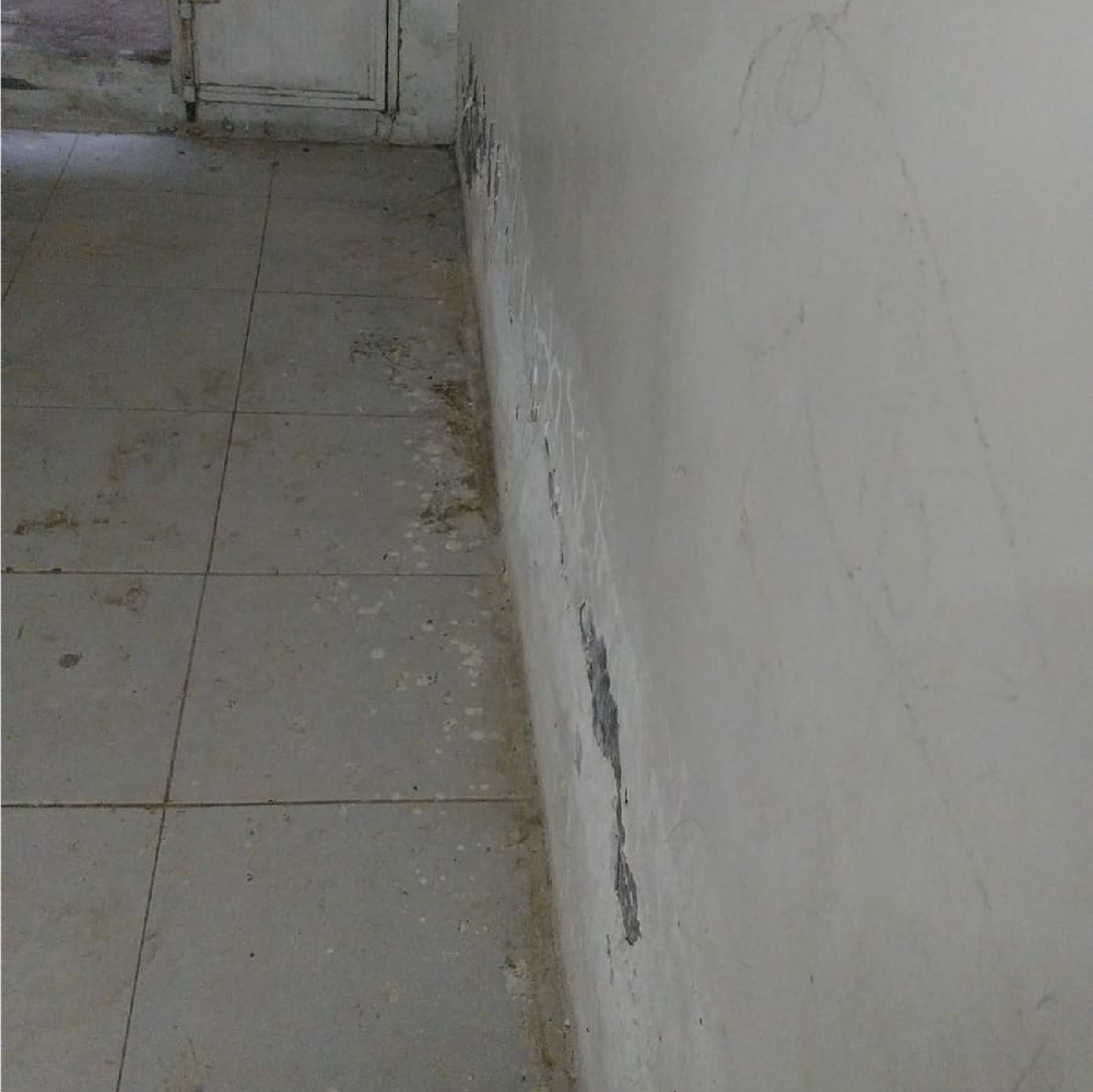 شريك الخير بوبا ( المودة )