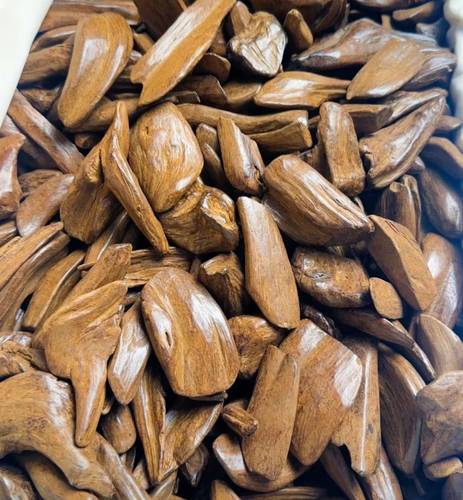 كيلو عود مروكي الشيوخ